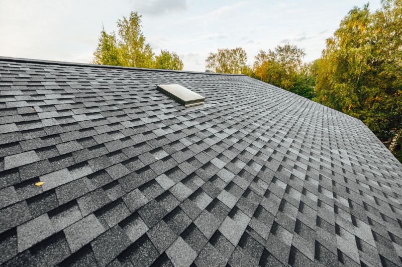 Asphalt Shingles Installation in Newnan, GA