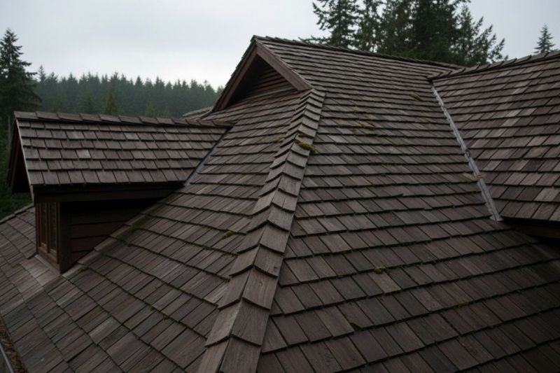 Cedar Shake Roof Replacement in Coweta County, GA