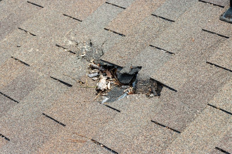 Shingle Roof Replacement in Senoia, GA