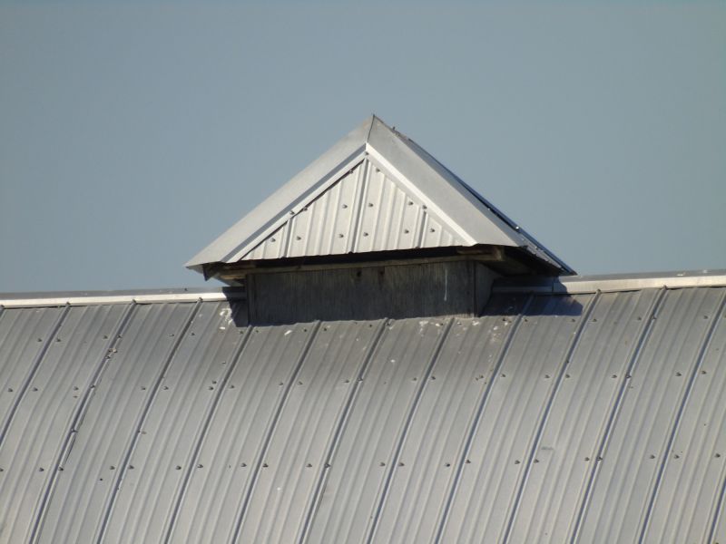 Tin Roof Installation in Atlanta, GA