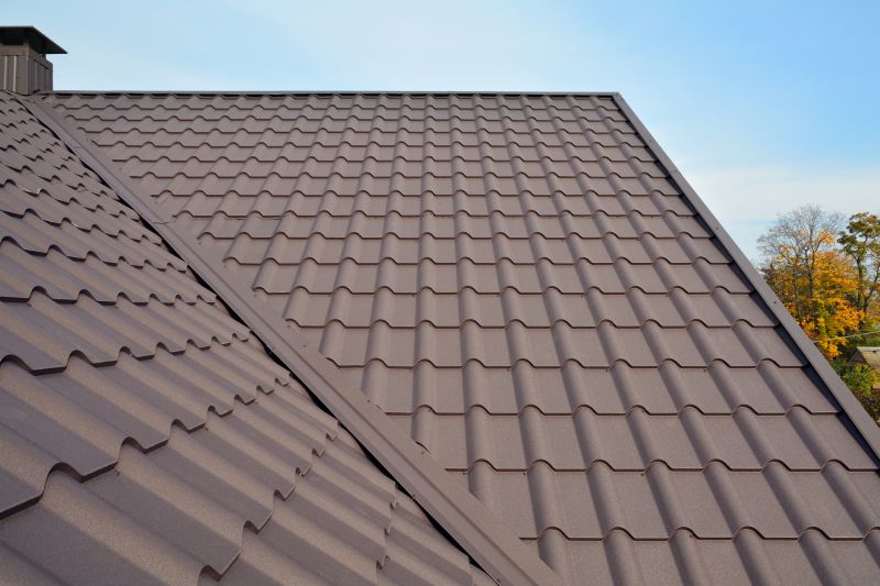 Tin Roof Installation in Carrollton, GA