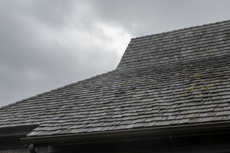 Wood Shake Roof Replacement in Hogansville, GA
